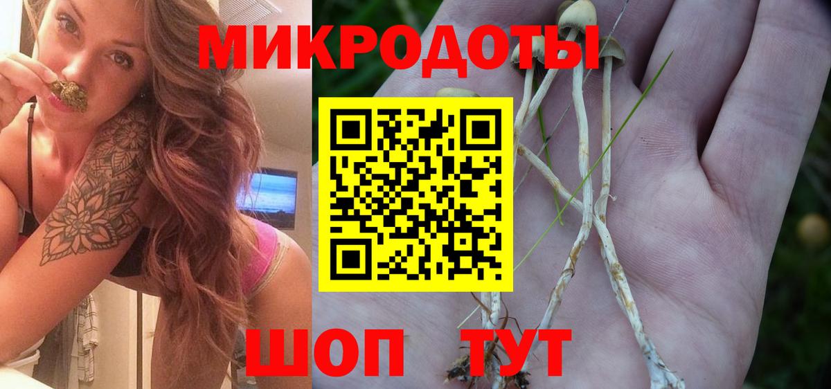 Галлюциногенные грибы Cubensis Грязи